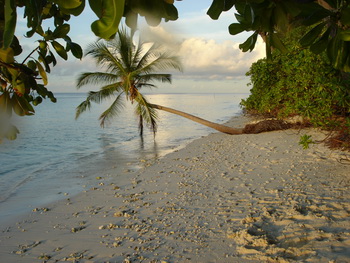 Maldives, Faafu Atoll, Filitheyo Island Resort 